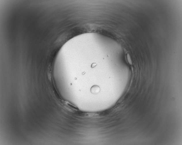 X0000064730719200603031641