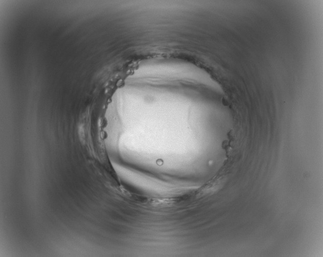 X0000064730720200603031641