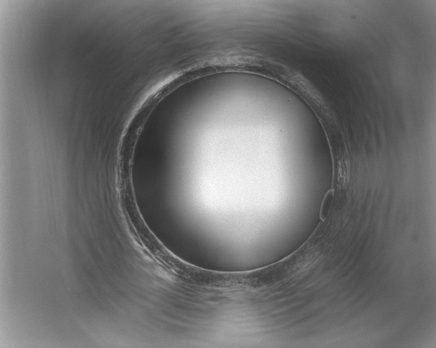 X0000064730724200603031641