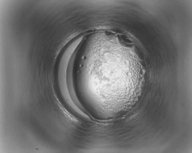 X0000064730725200603031641