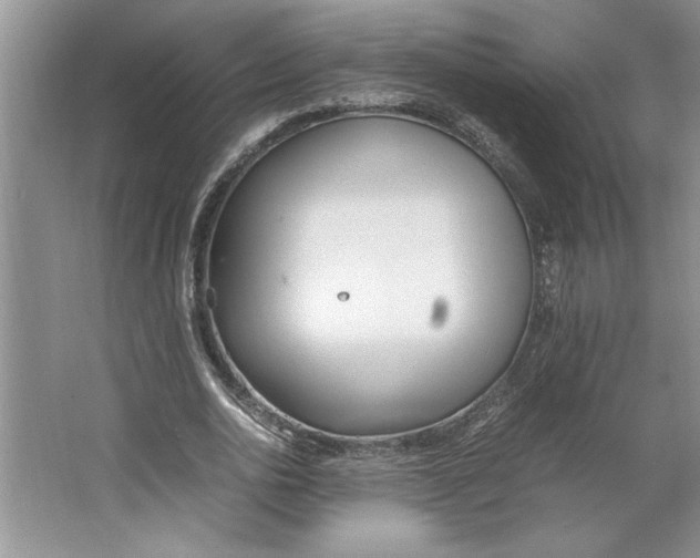 X0000064730726200603031641