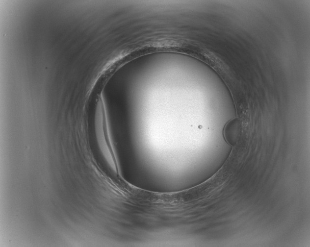 X0000064730727200603031641