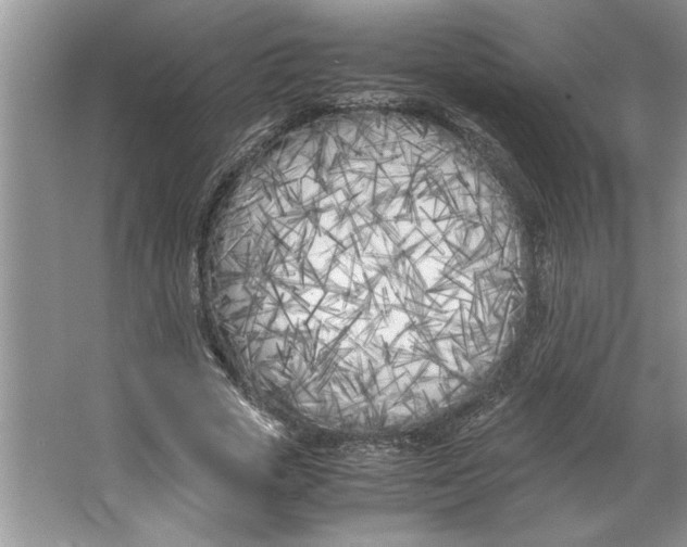 X0000064730729200603031641