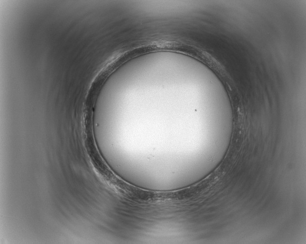 X0000064730730200603031641