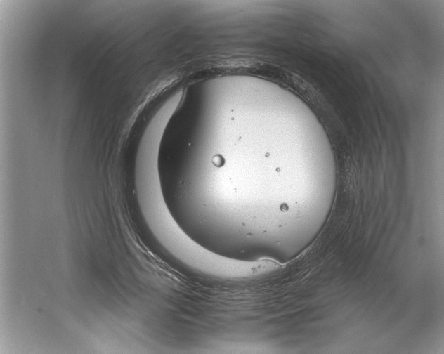 X0000064730731200603031641