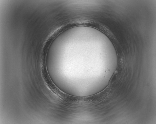 X0000064730732200603031641