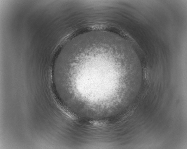 X0000064730733200603031641