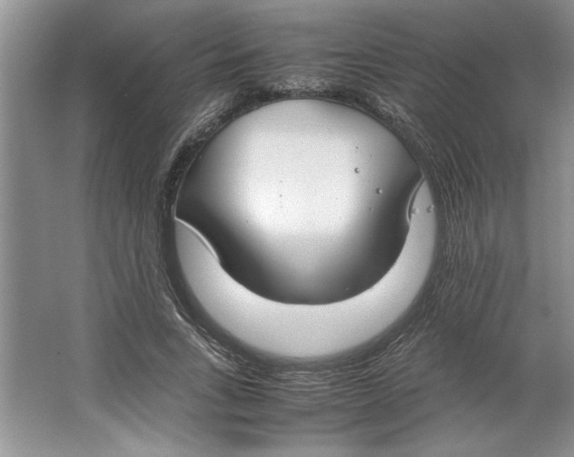 X0000064730735200603031641