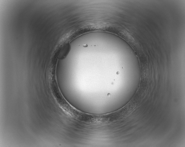 X0000064730736200603031641