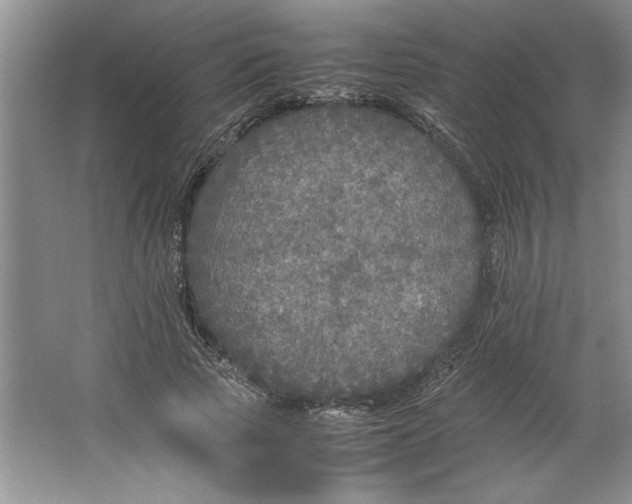 X0000064730737200603031641