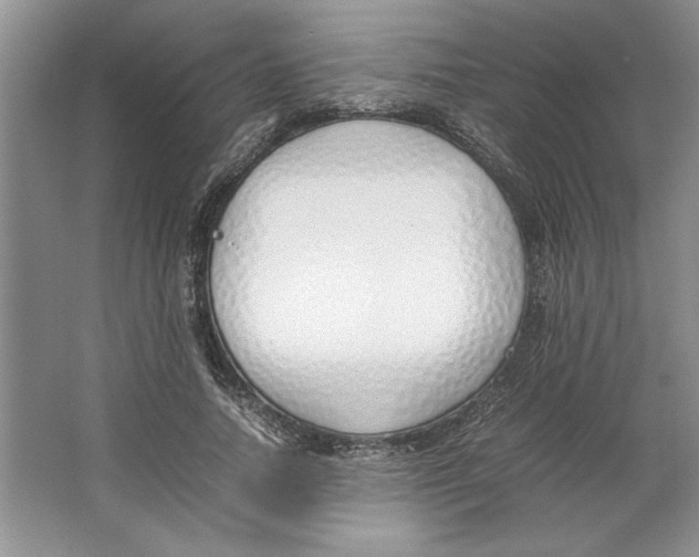 X0000064730738200603031641