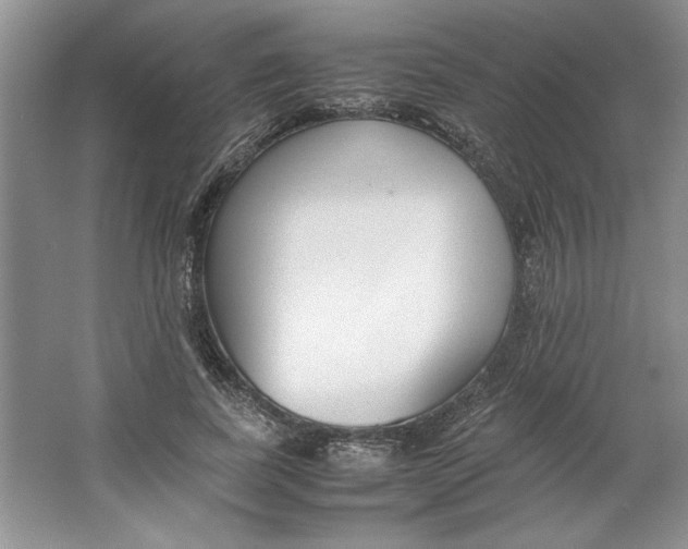 X0000064730739200603031641