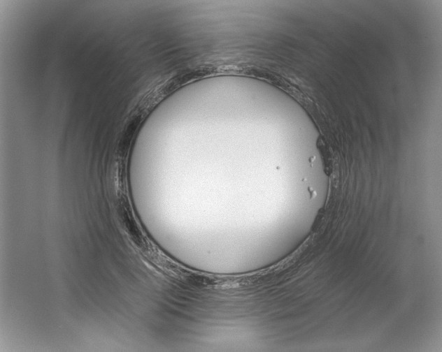 X0000064730740200603031641