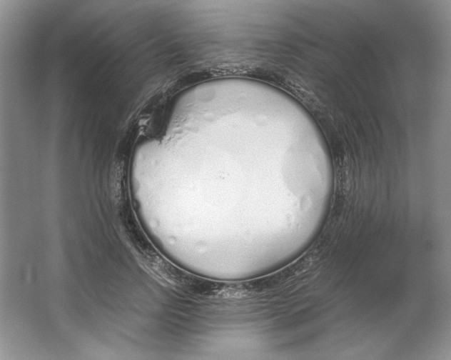 X0000064730742200603031641