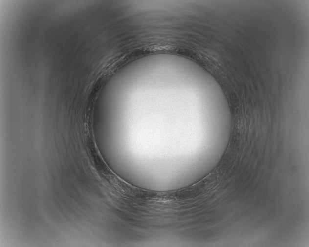 X0000064730743200603031641