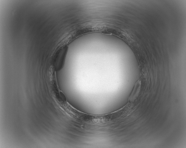 X0000064730744200603031641