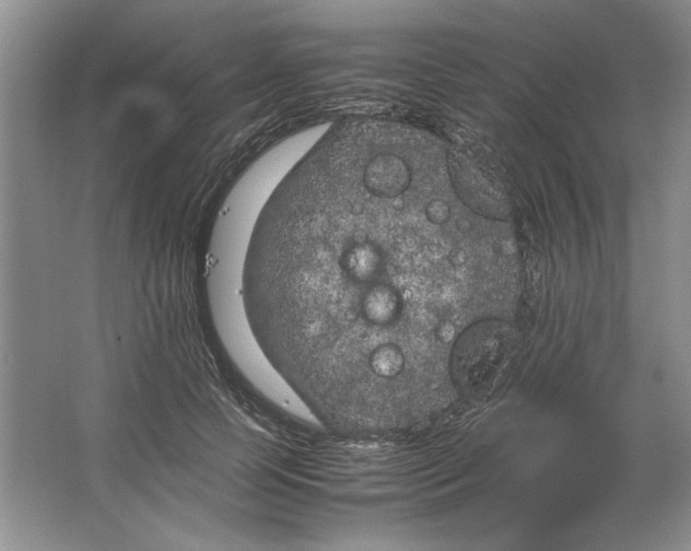 X0000064730745200603031641