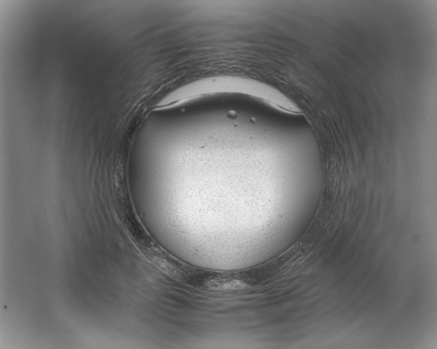 X0000064730747200603031641