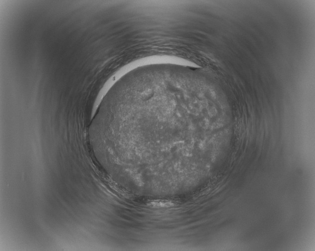 X0000064730749200603031641