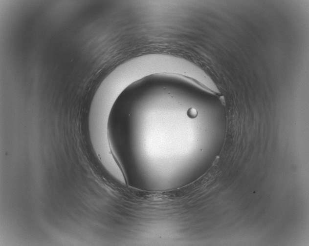 X0000064730750200603031641