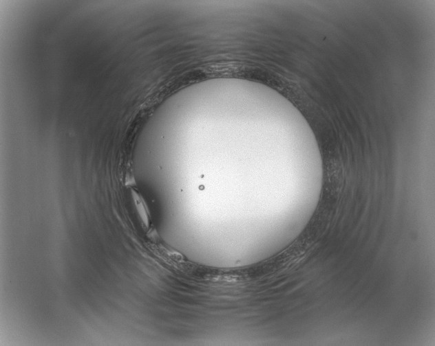 X0000064730751200603031641