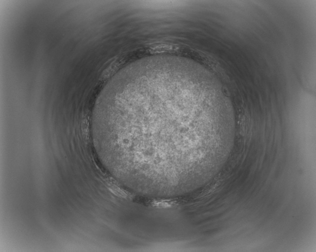 X0000064730753200603031641