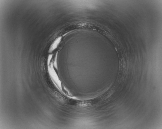 X0000064730754200603031641