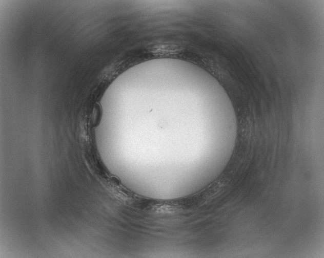 X0000064730755200603031641