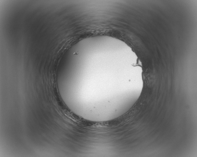 X0000064730756200603031641