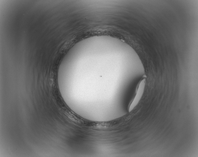 X0000064730758200603031641