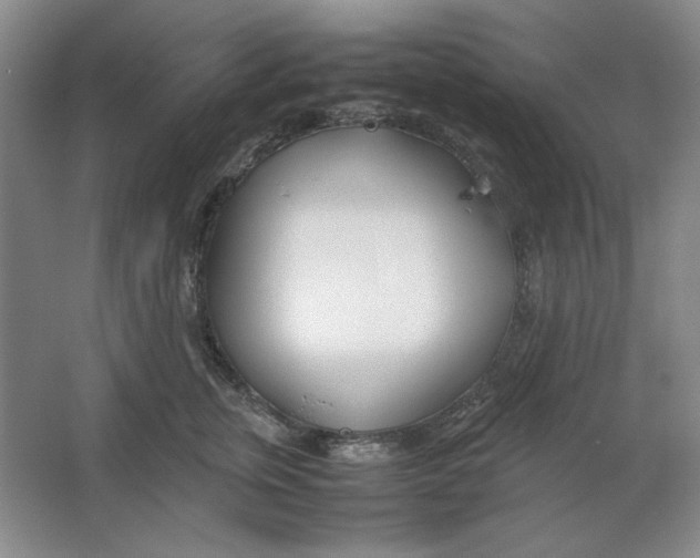 X0000064730759200603031641