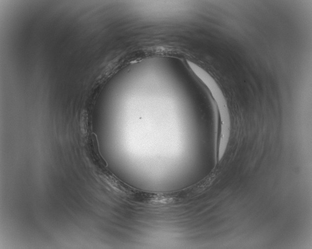 X0000064730760200603031641