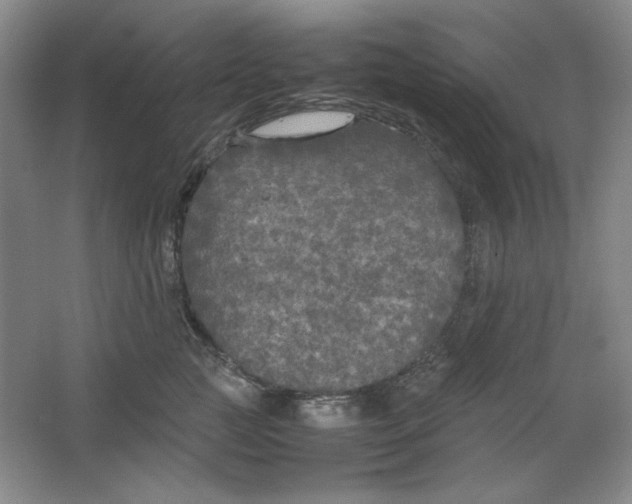 X0000064730761200603031641