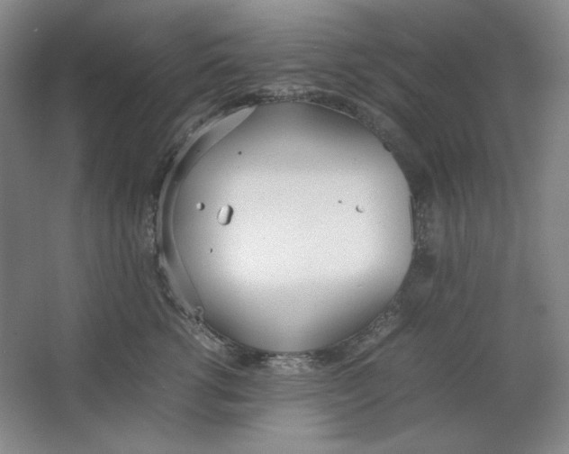 X0000064730762200603031641