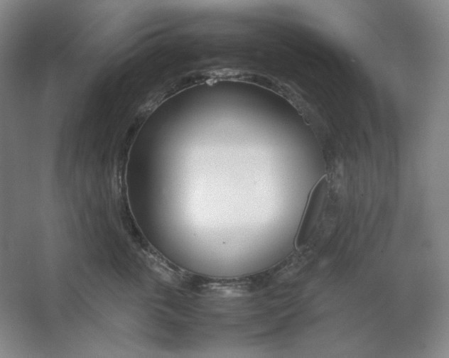 X0000064730763200603031641