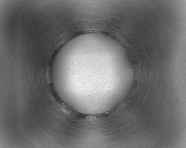 X0000064730764200603031641