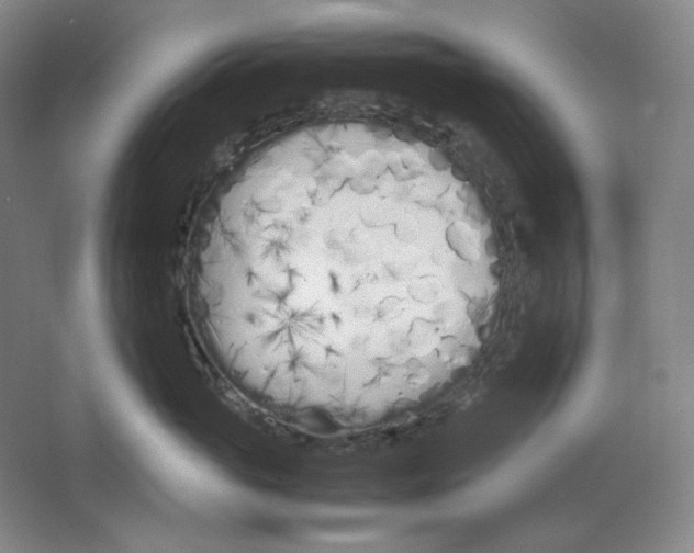 X0000064730765200603031641