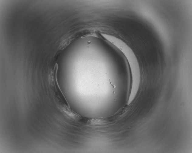 X0000064730766200603031641