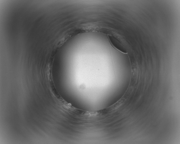 X0000064730767200603031641