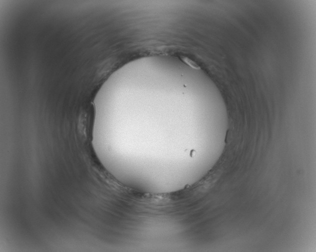 X0000064730768200603031641