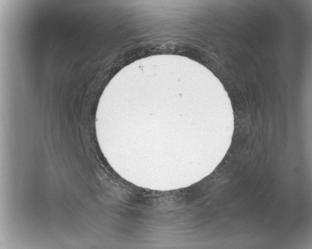 X0000064730769200603031641