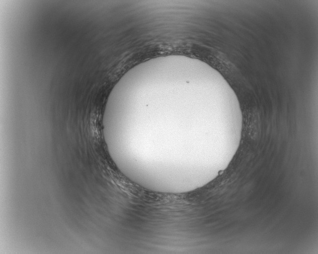 X0000064730770200603031641