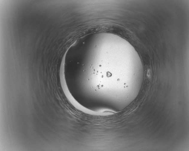 X0000064730771200603031641