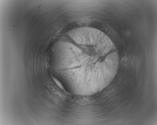 X0000064730772200603031641