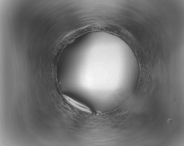 X0000064730773200603031641