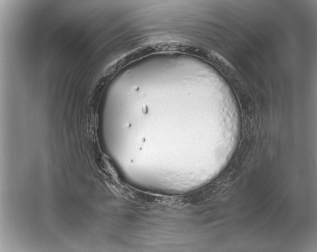 X0000064730775200603031640