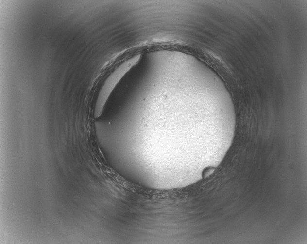 X0000064730776200603031640