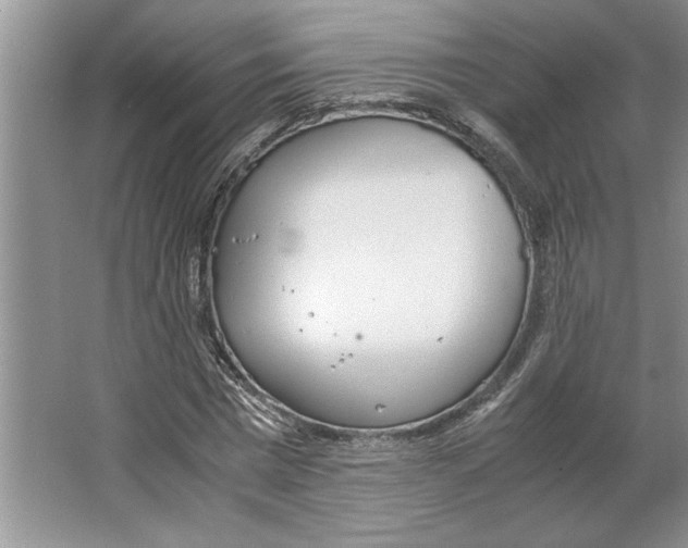 X0000064730777200603031640