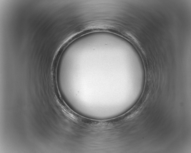 X0000064730779200603031640