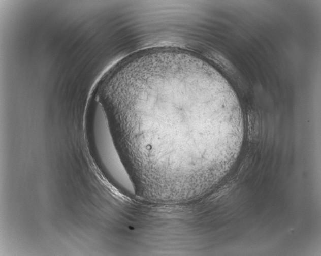 X0000064730780200603031640